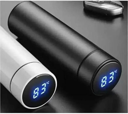Stainless Steel Temperature Water Bottle