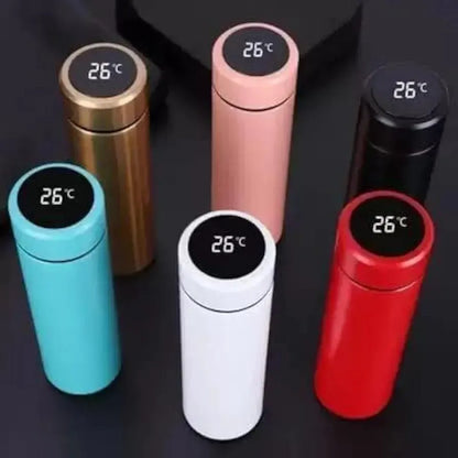 Stainless Steel Temperature Water Bottle