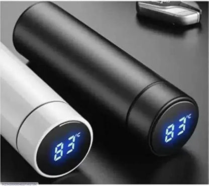Stainless Steel Temperature Water Bottle